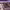 https://res.cloudinary.com/billionhands/image/upload/v1775337129/items/ztwv9oxvojvt6p36x1n4.jpg-2cover