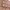 https://res.cloudinary.com/billionhands/image/upload/v1775337191/items/psnknmehlg73ajwrkyuj.jpg-3cover