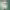 https://res.cloudinary.com/billionhands/image/upload/v1775337429/items/bg03elk1agg5jngyqdre.jpg-1cover