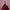 https://res.cloudinary.com/billionhands/image/upload/v1775337556/items/gqdlprallpgxqvgbyzx9.webp-0cover