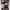 https://res.cloudinary.com/billionhands/image/upload/v1775337705/items/rrzvne7ylwyw87e6niky.png-0cover