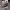 https://res.cloudinary.com/billionhands/image/upload/v1775337706/items/tkzvyipbwx4edf6ourul.jpg-1cover