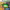 https://res.cloudinary.com/billionhands/image/upload/v1775337744/items/ly730g6ymekqfwdt8hyz.png-0cover