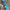 https://res.cloudinary.com/billionhands/image/upload/v1775337761/items/lis6nie83wt0lr4wpmj3.jpg-1cover