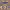 https://res.cloudinary.com/billionhands/image/upload/v1775337762/items/qduhfuvvjtr1qvasf3gr.avif-2cover