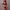 https://res.cloudinary.com/billionhands/image/upload/v1775337969/items/ioo7vagzscosvngrvnth.webp-1cover