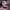 https://res.cloudinary.com/billionhands/image/upload/v1775338007/items/hxved2ecr7wgqhayf2as.jpg-0cover