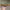 https://res.cloudinary.com/billionhands/image/upload/v1775338259/items/iyprnraz3bynlerzx8ha.jpg-0cover