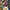 https://res.cloudinary.com/billionhands/image/upload/v1775338269/items/tjiox1ohpn2vees6kcwk.jpg-1cover
