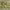 https://res.cloudinary.com/billionhands/image/upload/v1775338319/items/wxsyzfcqugazkgfn0jvg.jpg-0cover