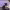https://res.cloudinary.com/billionhands/image/upload/v1775338978/items/als7pd50wb0widibm3qh.png-0cover