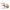 https://res.cloudinary.com/billionhands/image/upload/v1775338982/items/o2prvi8kkiakiblry3nz.jpg-3cover