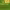 https://res.cloudinary.com/billionhands/image/upload/v1775338993/items/zlhlesrysnkvzjv5czi0.jpg-0cover