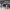 https://res.cloudinary.com/billionhands/image/upload/v1775339003/items/qomd1hmxvmdea0rvoqsv.jpg-2cover