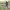 https://res.cloudinary.com/billionhands/image/upload/v1775339004/items/rmzaepypctnm36vae7ga.png-3cover