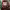 https://res.cloudinary.com/billionhands/image/upload/v1775339383/items/n6prjynkw0828idlodow.webp-1cover