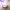 https://res.cloudinary.com/billionhands/image/upload/v1775339585/items/kyypxnfsjlv3qyiqafgr.jpg-3cover