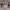 https://res.cloudinary.com/billionhands/image/upload/v1775339684/items/hclimosjglsdexkg5vyg.webp-2cover