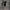 https://res.cloudinary.com/billionhands/image/upload/v1775339958/items/xvwwo4j8jp6iomhmrazn.webp-2cover