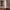Sticks floor lamp (Vibia) cover