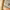 https://res.cloudinary.com/billionhands/image/upload/v1775340174/items/s3amtxat7p7tztndfz4n.avif-2cover