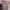 https://res.cloudinary.com/billionhands/image/upload/v1775340202/items/ckh2ledo4ua4jqnjyzdl.jpg-0cover