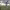 https://res.cloudinary.com/billionhands/image/upload/v1775340231/items/thqzfbh1ez9wyui9jpjk.jpg-1cover