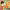 https://res.cloudinary.com/billionhands/image/upload/v1775340414/items/wtwkjcv4hdklfozz0chz.jpg-0cover