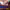 https://res.cloudinary.com/billionhands/image/upload/v1775340417/items/ej99dsiwputocnxqbjql.jpg-3cover
