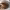 https://res.cloudinary.com/billionhands/image/upload/v1775340417/items/oogaukbt2hq6pn76kp13.jpg-1cover