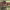 https://res.cloudinary.com/billionhands/image/upload/v1775340459/items/wnn15ruv2pexfebuzjmo.jpg-3cover