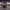 https://res.cloudinary.com/billionhands/image/upload/v1775340715/items/nvecg9kntuxvw2rgyi74.jpg-2cover