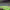 https://res.cloudinary.com/billionhands/image/upload/v1775340821/items/n1zgvqepd4tex7bdrdhv.jpg-0cover