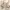 https://res.cloudinary.com/billionhands/image/upload/v1775340825/items/rzcokkwbdbuwdfnznprt.jpg-2cover