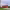 https://res.cloudinary.com/billionhands/image/upload/v1775341722/items/lhnyoovchc7cwnkmsots.jpg-2cover
