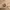 https://res.cloudinary.com/billionhands/image/upload/v1775341744/items/bewc2aka5wdm4fknp7f4.jpg-1cover