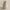 https://res.cloudinary.com/billionhands/image/upload/v1775342028/items/kjfjri8rlic56701l90f.webp-2cover