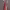 https://res.cloudinary.com/billionhands/image/upload/v1775342031/items/wpwj3eebee11afqmllxx.jpg-2cover