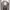 https://res.cloudinary.com/billionhands/image/upload/v1775342378/items/adcudadvuueesmuftnna.webp-2cover