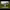 https://res.cloudinary.com/billionhands/image/upload/v1775342432/items/xyedtxblodqy89ms3czc.jpg-2cover