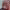 https://res.cloudinary.com/billionhands/image/upload/v1775342444/items/la31gzcbftw4owqptlqc.jpg-0cover