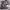 https://res.cloudinary.com/billionhands/image/upload/v1775342478/items/pwqokscdqmdebblnhckp.jpg-0cover