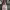 https://res.cloudinary.com/billionhands/image/upload/v1775342901/items/enyhvmqmi2sqqi2q2pqw.png-2cover