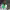 https://res.cloudinary.com/billionhands/image/upload/v1775342970/items/zqqcsutgagwnputuiljs.jpg-2cover
