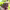 https://res.cloudinary.com/billionhands/image/upload/v1775343438/items/m0aykg8ltnfbdynqhnz7.avif-1cover
