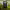 https://res.cloudinary.com/billionhands/image/upload/v1775343494/items/ykajfktu4q4gtlwuwmdb.jpg-0cover