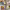 https://res.cloudinary.com/billionhands/image/upload/v1775343563/items/cb3wnq9dmdhluth70are.jpg-0cover