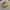 https://res.cloudinary.com/billionhands/image/upload/v1775343608/items/g9vtfr0xsty9fqq9dj07.jpg-1cover