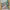 https://res.cloudinary.com/billionhands/image/upload/v1775343857/items/yv6ggnavxj6tnpf1zy8w.jpg-1cover
