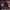 https://res.cloudinary.com/billionhands/image/upload/v1775343902/items/qxwu3ixfjyfuzkaqdnbx.jpg-1cover